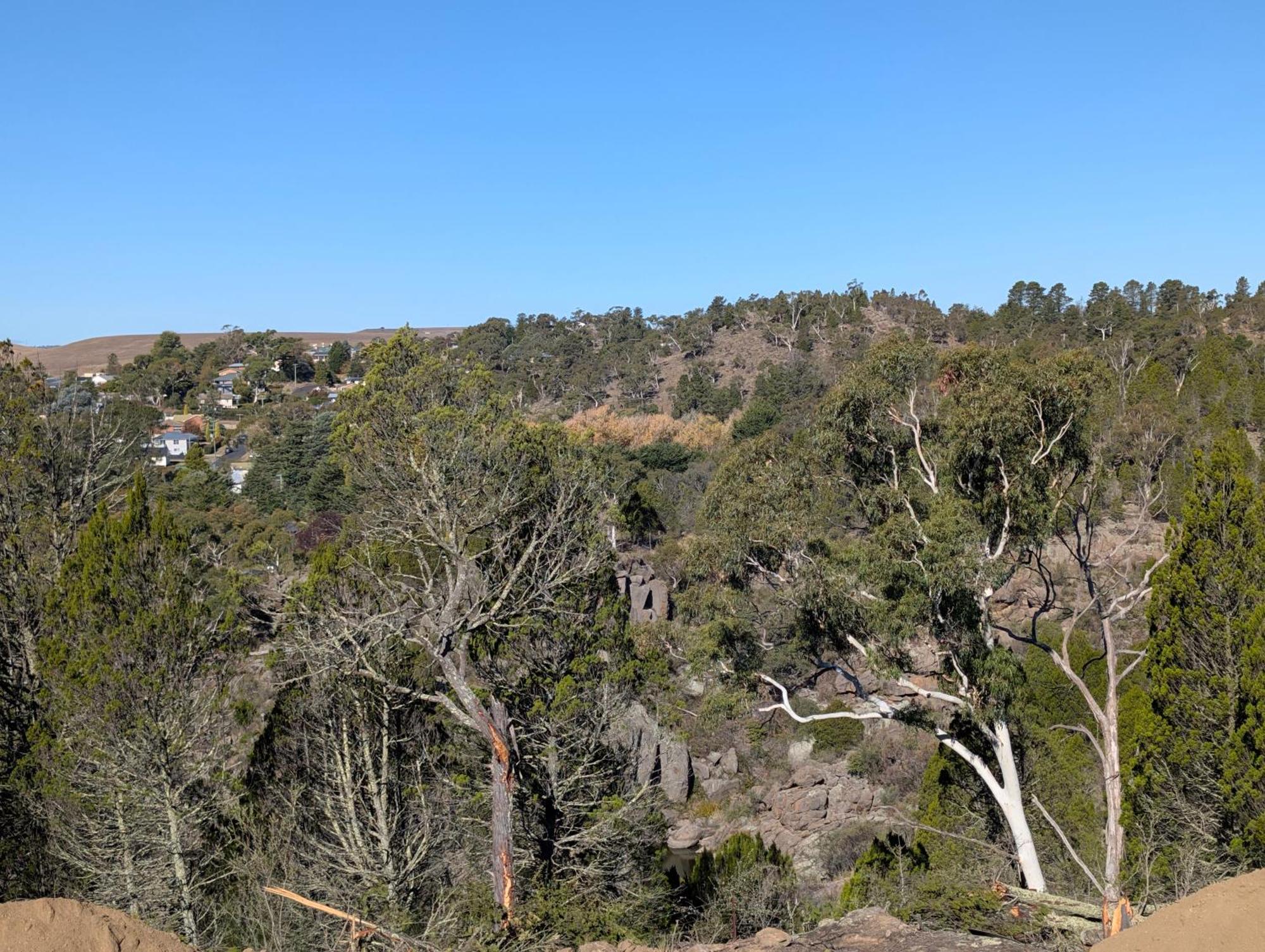 Cooma High Country Motel Bagian luar foto